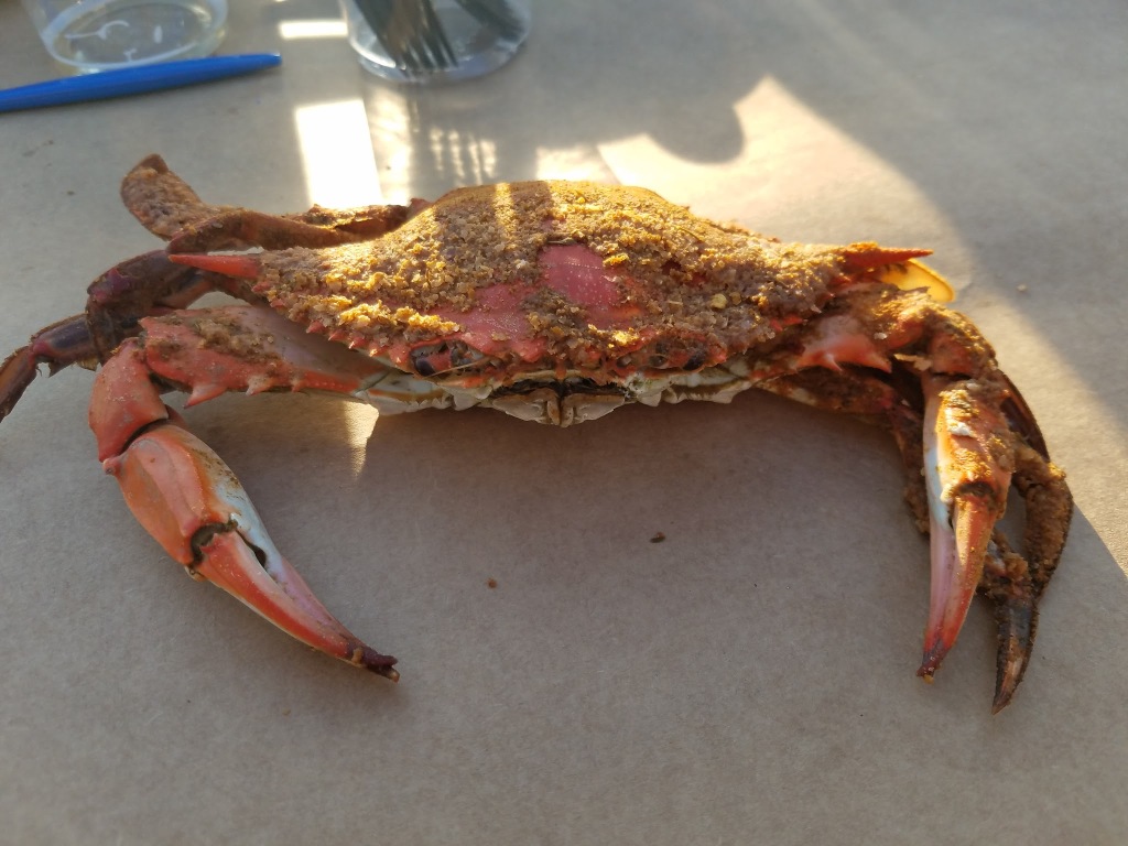 Getting Crabby in Baltimore